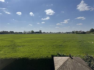 Picture 31